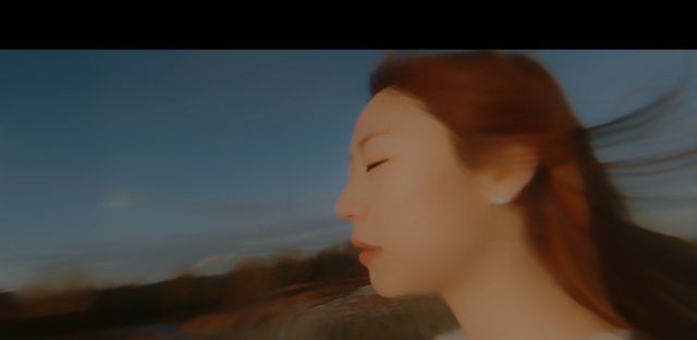 Butterfly Dream — image 1